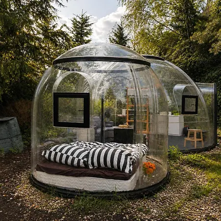 Skyhomes Bubble