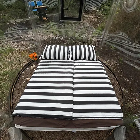 Skyhomes Bubble